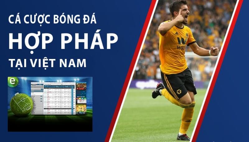 Web cá độ bóng đá qua mạng hợp pháp tại Việt Nam